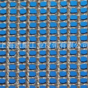 特氟龍網(wǎng)帶_廠家提供加密型特氟龍網(wǎng)帶8004加強型特氟龍網(wǎng)帶