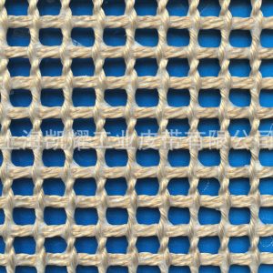 特氟龍網(wǎng)帶_廠家提供高品質特氟龍網(wǎng)帶高溫特氟龍網(wǎng)帶特氟龍網(wǎng)帶