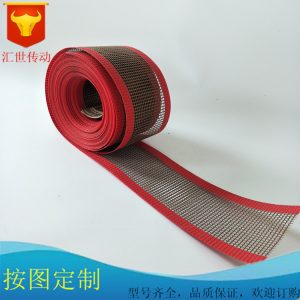 鐵氟龍網(wǎng)帶_廠家特氟龍輸送帶鐵氟龍網(wǎng)帶耐高溫