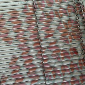 食品機網(wǎng)帶_深圳廠家熱銷丸鐵輸送網(wǎng),食品機網(wǎng)帶,耐高溫特氟龍管