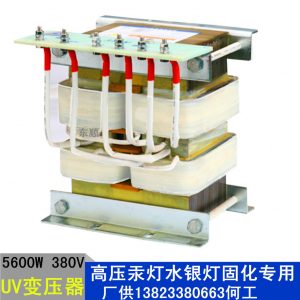 專(zhuān)用設(shè)備_三相立式5.6kw節(jié)能靜音純銅uv配uv燈管電容設(shè)備