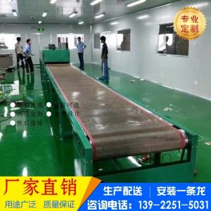直銷高溫流水線_工業(yè)隧道爐網(wǎng)帶線廠家直銷高溫流水線絲印鐵氟龍烘干線