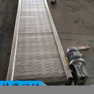 鏈板輸送機_廠家不銹鋼鏈板傳送機高溫烘干流水線隧道爐鏈板