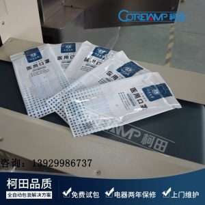 枕式包裝機(jī)_山東口罩包裝機(jī)防霾口罩塑料膜口罩枕式