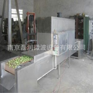 箱式干燥設(shè)備_隧道式微波滅菌烘干設(shè)備工業(yè)微波隧道爐隧道式烘箱