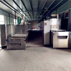 黑水虻烘干的溫度黑水虻隧道式烘干爐黑水虻快速微波干燥設(shè)備