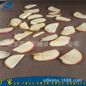 蘋果片脫水烘干效果/薯片烘干機微波隧道爐/磊沐微波