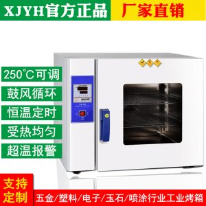 深圳工廠電熱鼓風(fēng)干燥箱琥珀加工實驗室恒溫烤箱不銹鋼小型烘干箱